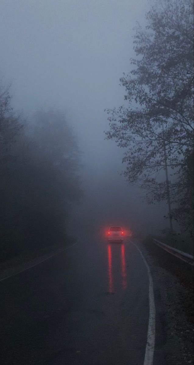 a car driving down a foggy road with trees on both sides and red lights at the end