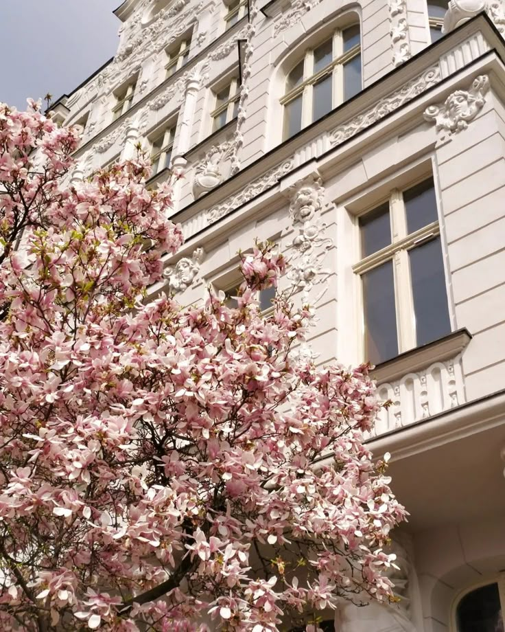 a tree with pink flowers in front of a large white and gray building on a sunny day