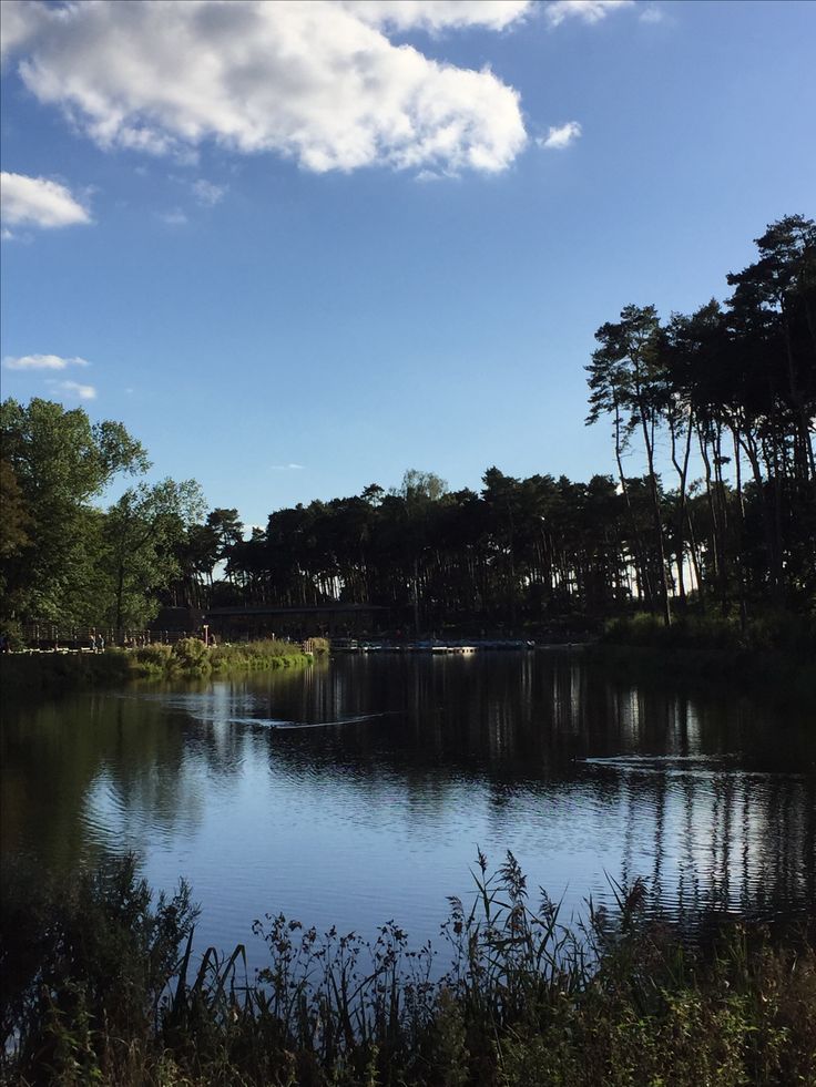 a body of water surrounded by trees under a blue sky with clouds in the background