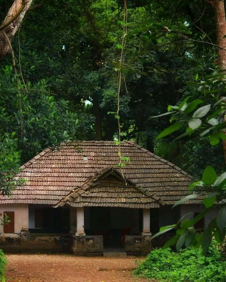 a small house in the middle of some trees