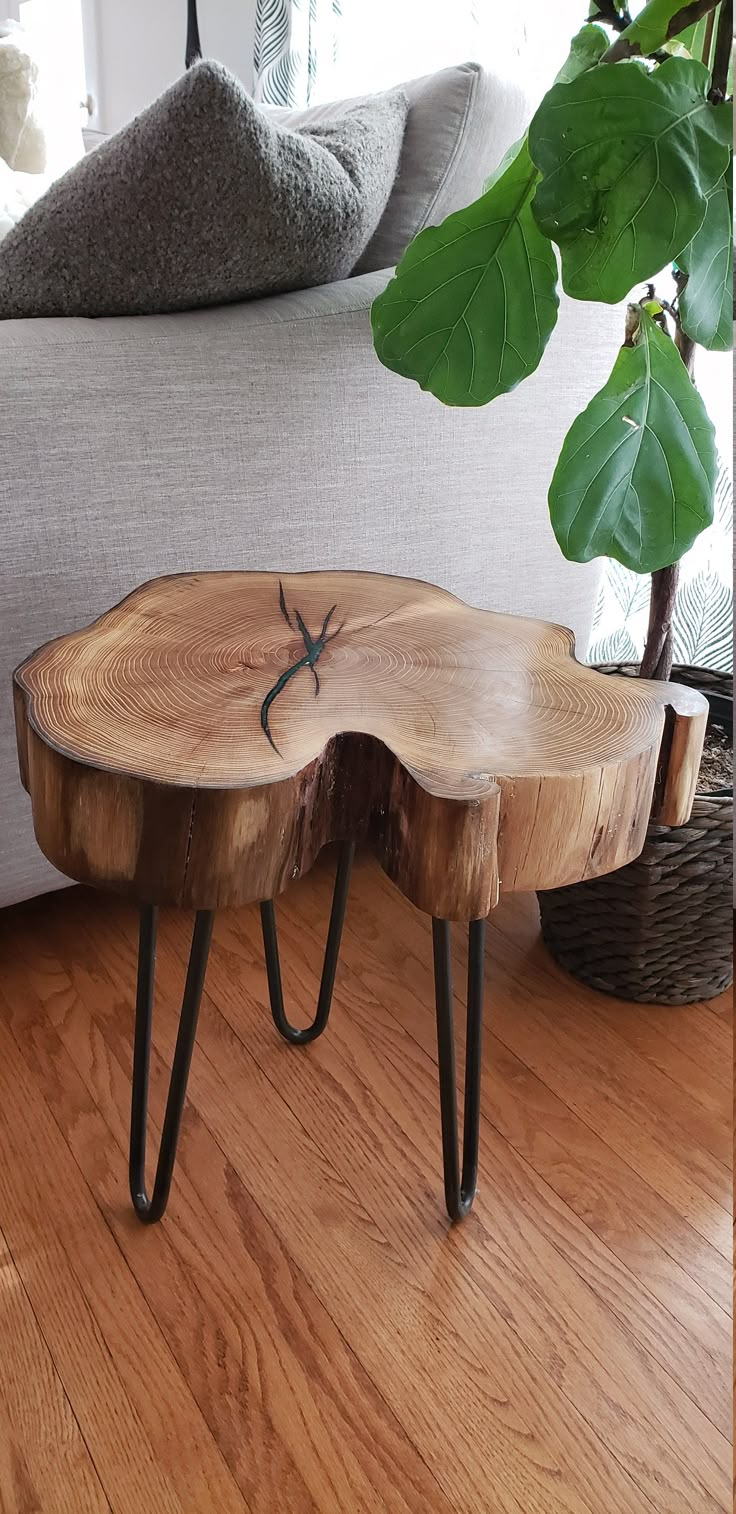 a wooden table with metal legs and a plant in the middle on a wood floor