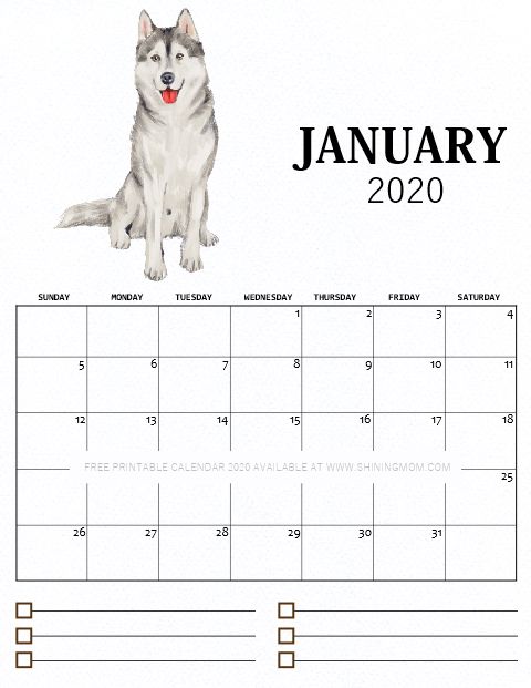 a calendar with an image of a husky dog