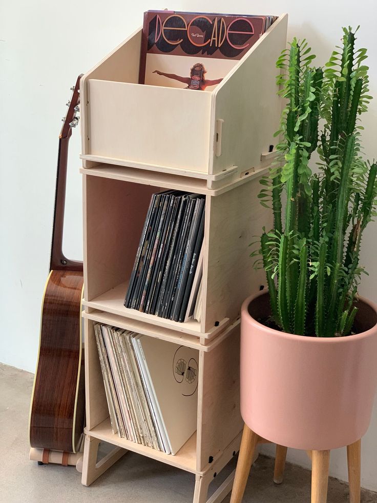 a wooden shelf with records and a potted plant next to it on the floor