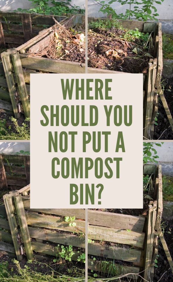 there is a sign that says where should you not put a compost bin?