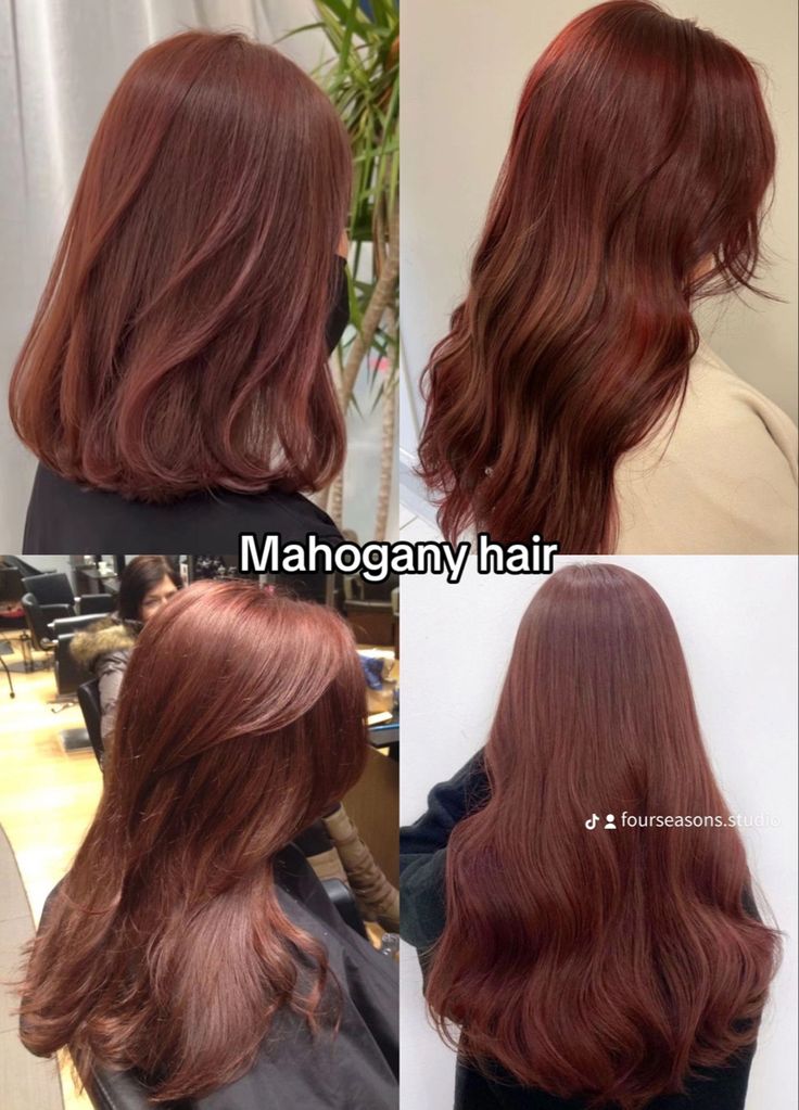 Hair Color Ideas Autumn, Mahagoni Hair Color Brown, Ash Brown And Red Hair, Brick Hair Color, Haircut For Red Hair, Natural Deep Red Hair, Hair Colours For Brown Hair, Cool Toned Red Brown Hair, Hair Dye Inspo Highlights