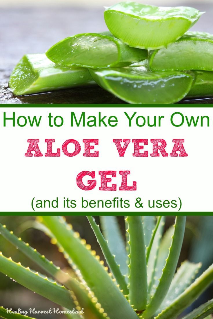 Aloe vera gel: Directions for how to make it, how to use it, and how to grow it, all right here! Aloe is one of the most useful plants you can have in your home. Find out about the benefits and uses of aloe vera gel, and how easy it is to make yourself! #aloe #howtogrow #howtouse #aloeveragel #howtomake #benefits #uses #healingharvesthomestead Uses Of Aloe Vera, Diy Kosmetik, Aloe Gel, Natural Healing Remedies, Aloe Plant, Aloe Vera Plant, Natural Therapy, Natural Health Remedies, Natural Home Remedies