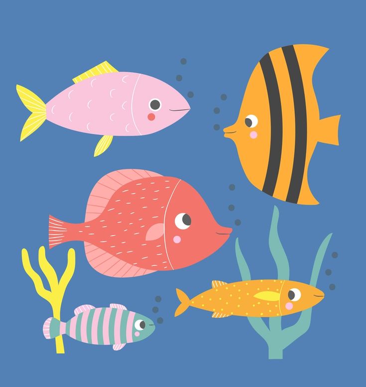 four different colored fish swimming in the ocean