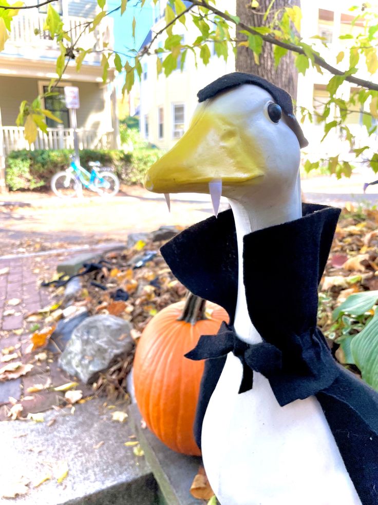 a duck wearing a black and white outfit next to a pumpkin