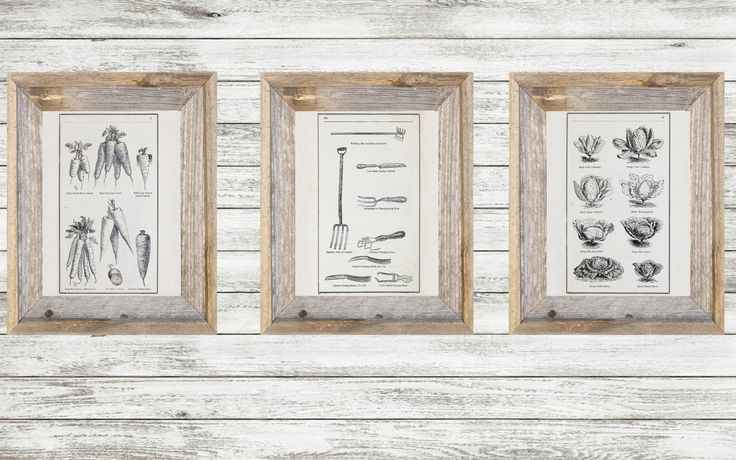 three framed pictures hanging on the side of a wooden wall