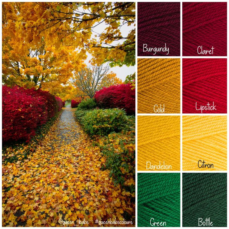 the colors of autumn are shown in this color scheme, including red, yellow and green