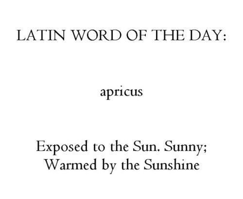 latin word of the day aprius exposed to the sun sunny warmed by the sunshine