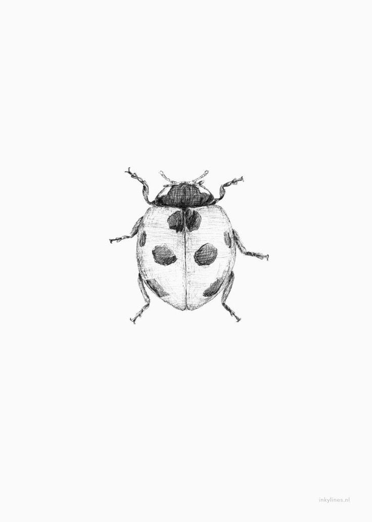 a black and white drawing of a lady bug