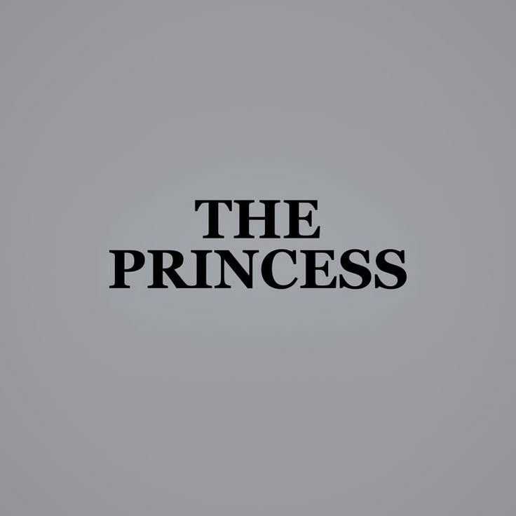 the princess logo on a gray background with black letters that read,'the princess '