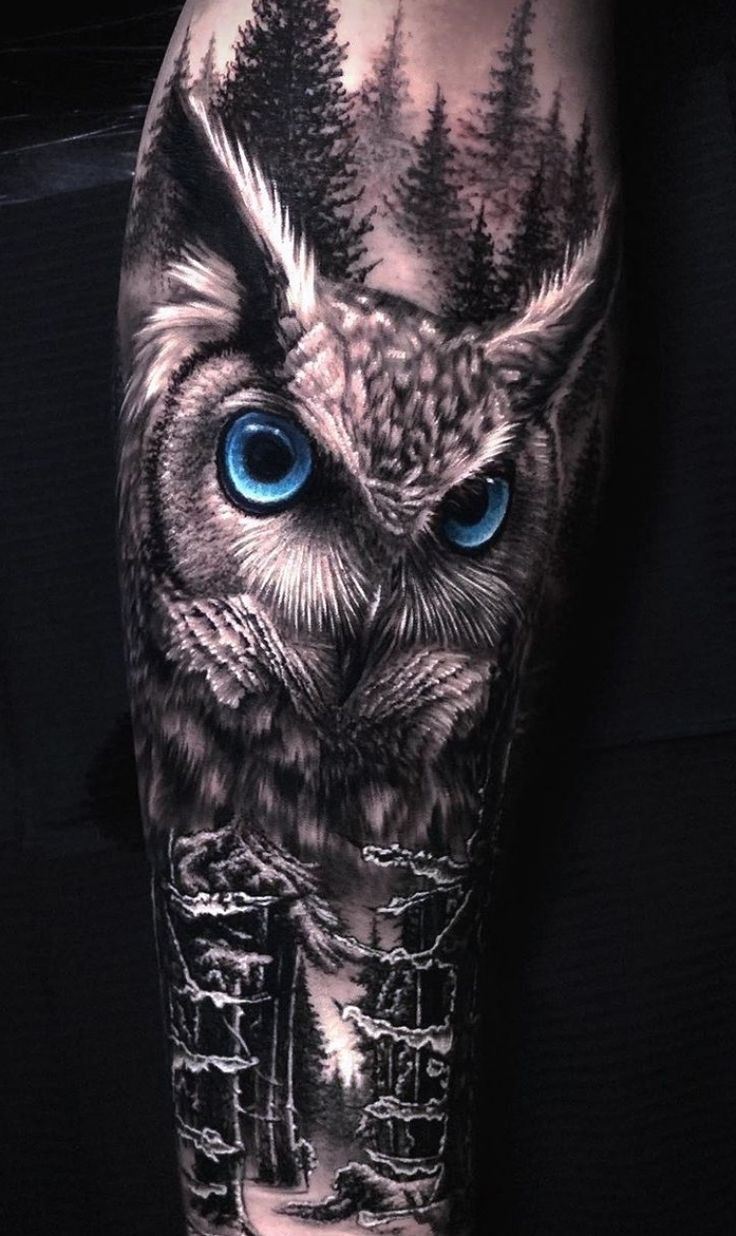 an owl with blue eyes is shown on the arm and leg, in black and white