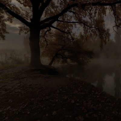 a foggy lake surrounded by trees in the fall with autumn leaves on the ground