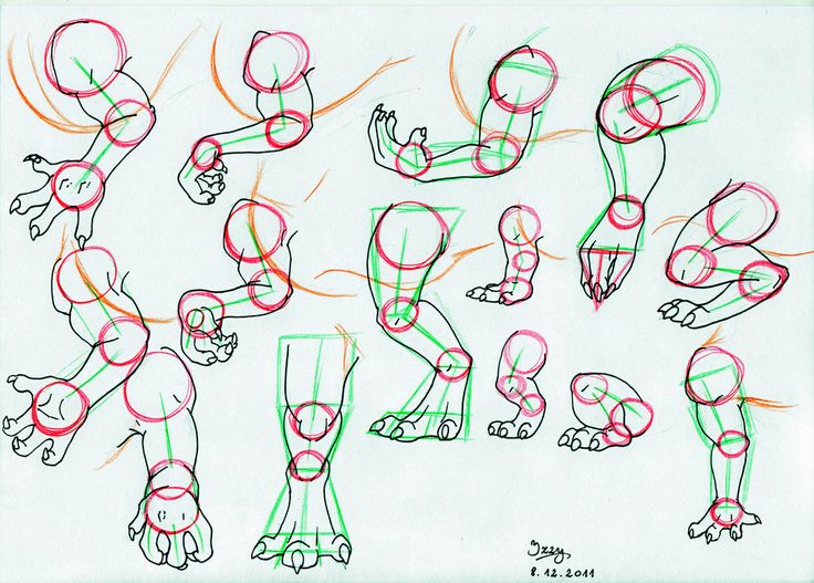 a drawing of various poses and gestures for the character's head, body, and hands