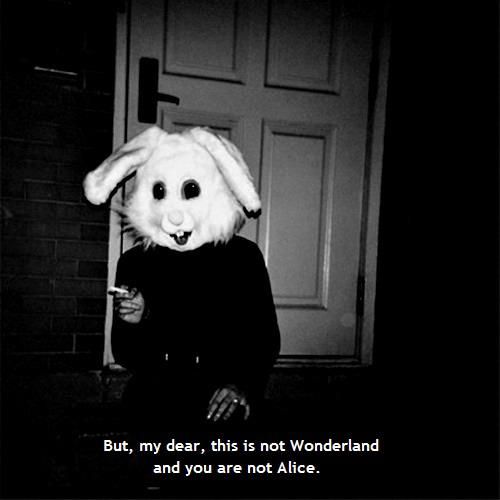 a black and white photo of a bunny wearing a t - shirt that says, but, my ears, this is not wonderlandland and you are not alice