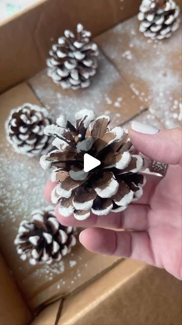 a person holding a pine cone in front of some other pine cones on a cardboard box