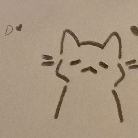 a drawing of a cat's face with the word d on it