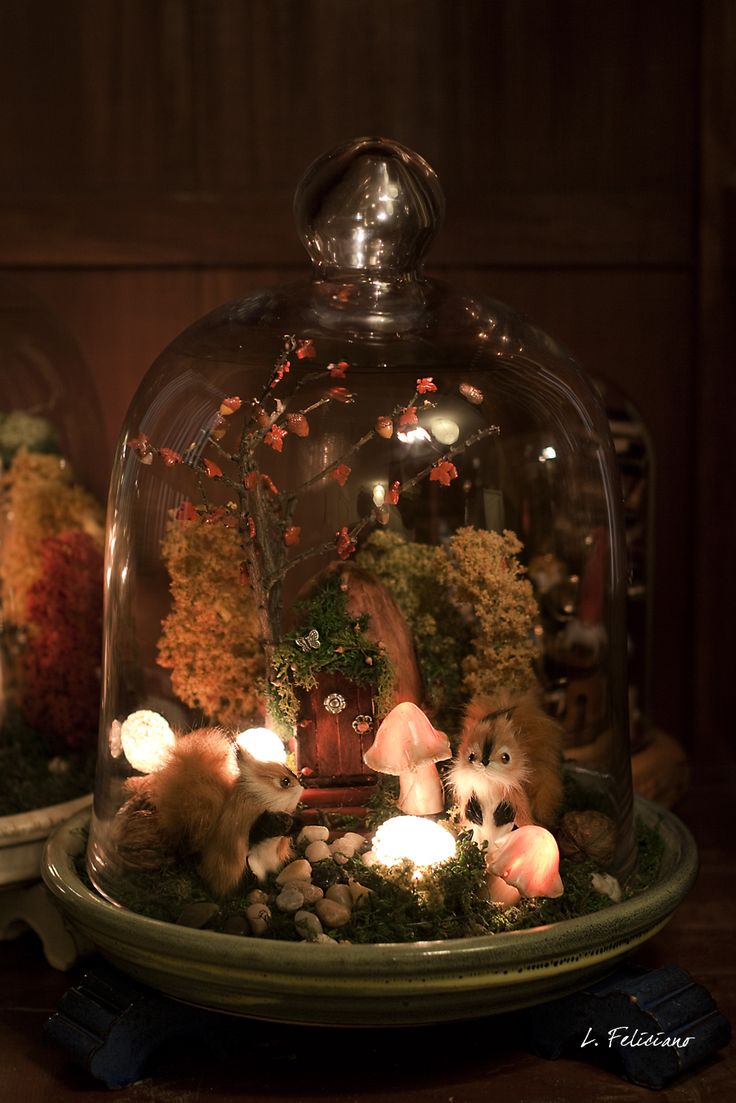 two glass cloches filled with plants and animals