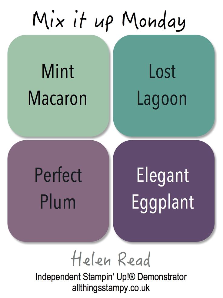 four different types of magnets with the words, mintt macaron, lost lagoon