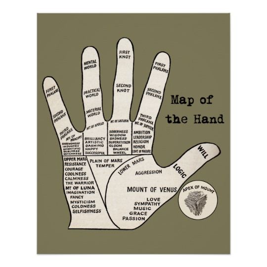 Palm reader map of the hand poster Palm Reading Charts, Palmistry Reading, Palmistry Hand, Reading Charts, Palm Reader, Spiritual Journals, Witchcraft Spell Books, Palm Reading, Spells Witchcraft