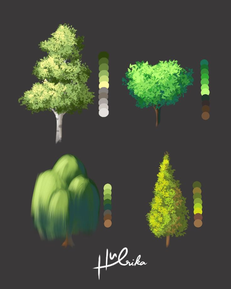 four different types of trees on a dark background