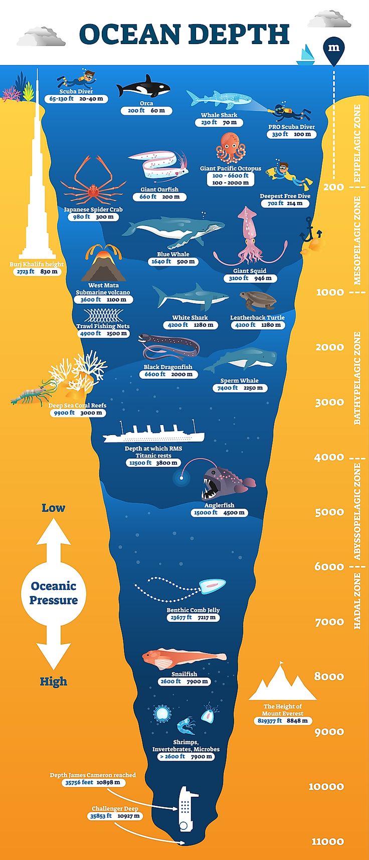 an info poster showing the ocean's different types of water and land, as well as