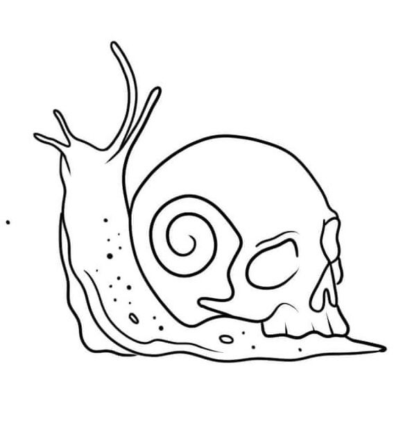 a drawing of a snail crawling on top of a skull