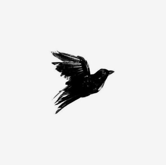 a black and white photo of a bird flying in the sky