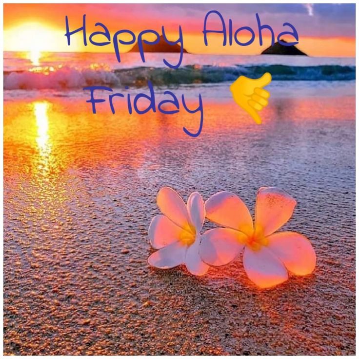 happy aloha friday greeting card with flowers on the beach at sunset or sunrise