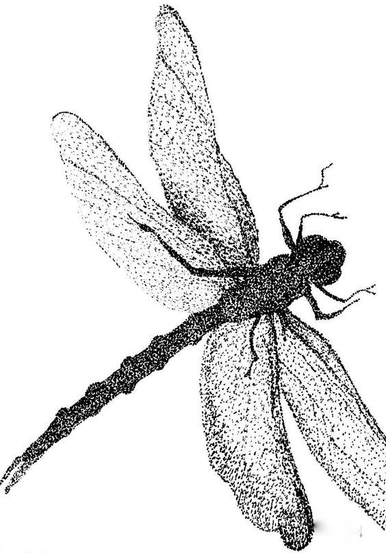 a black and white photo of a dragonfly on a white background with dots in it's wings