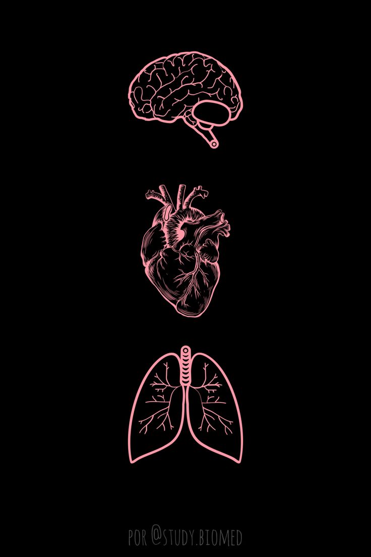 the human heart, lungs and broccoli are shown in pink on a black background