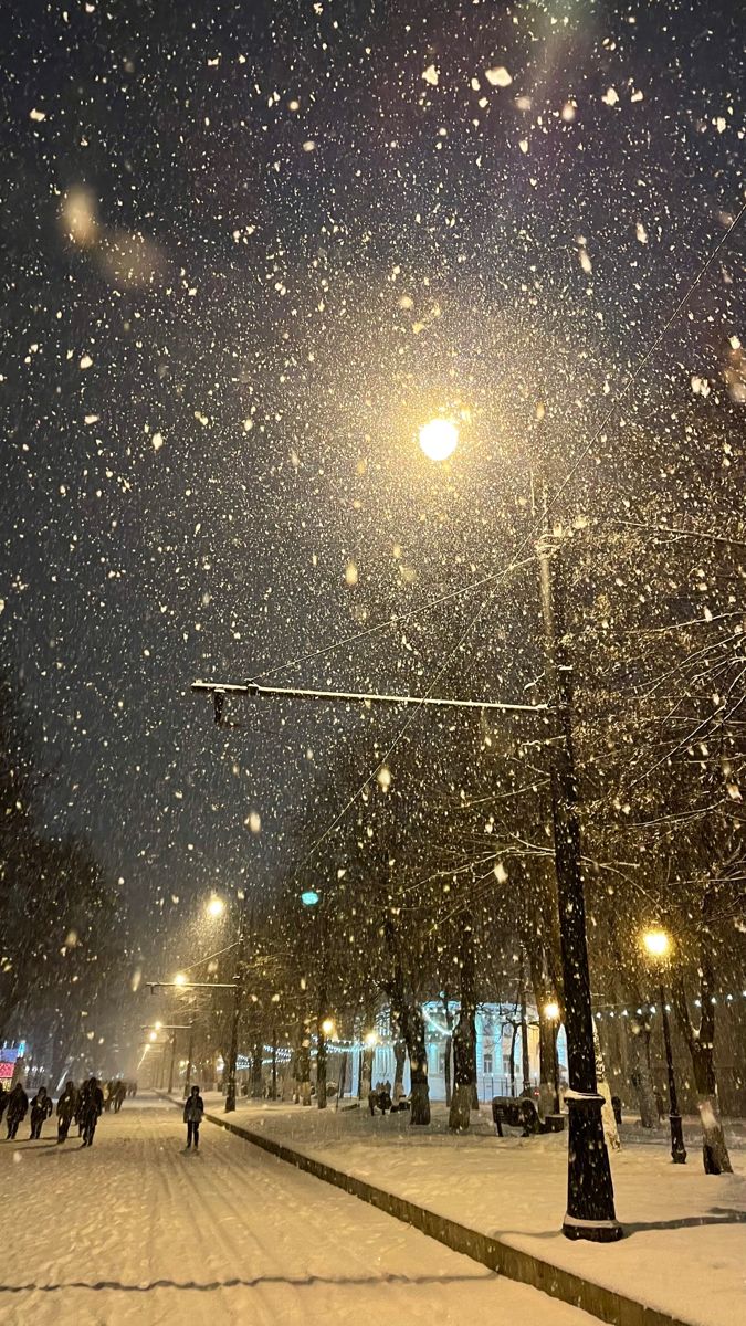 people are walking in the snow at night on a city street with lights and trees