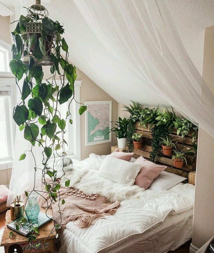 an instagram photo of a bed with plants on it