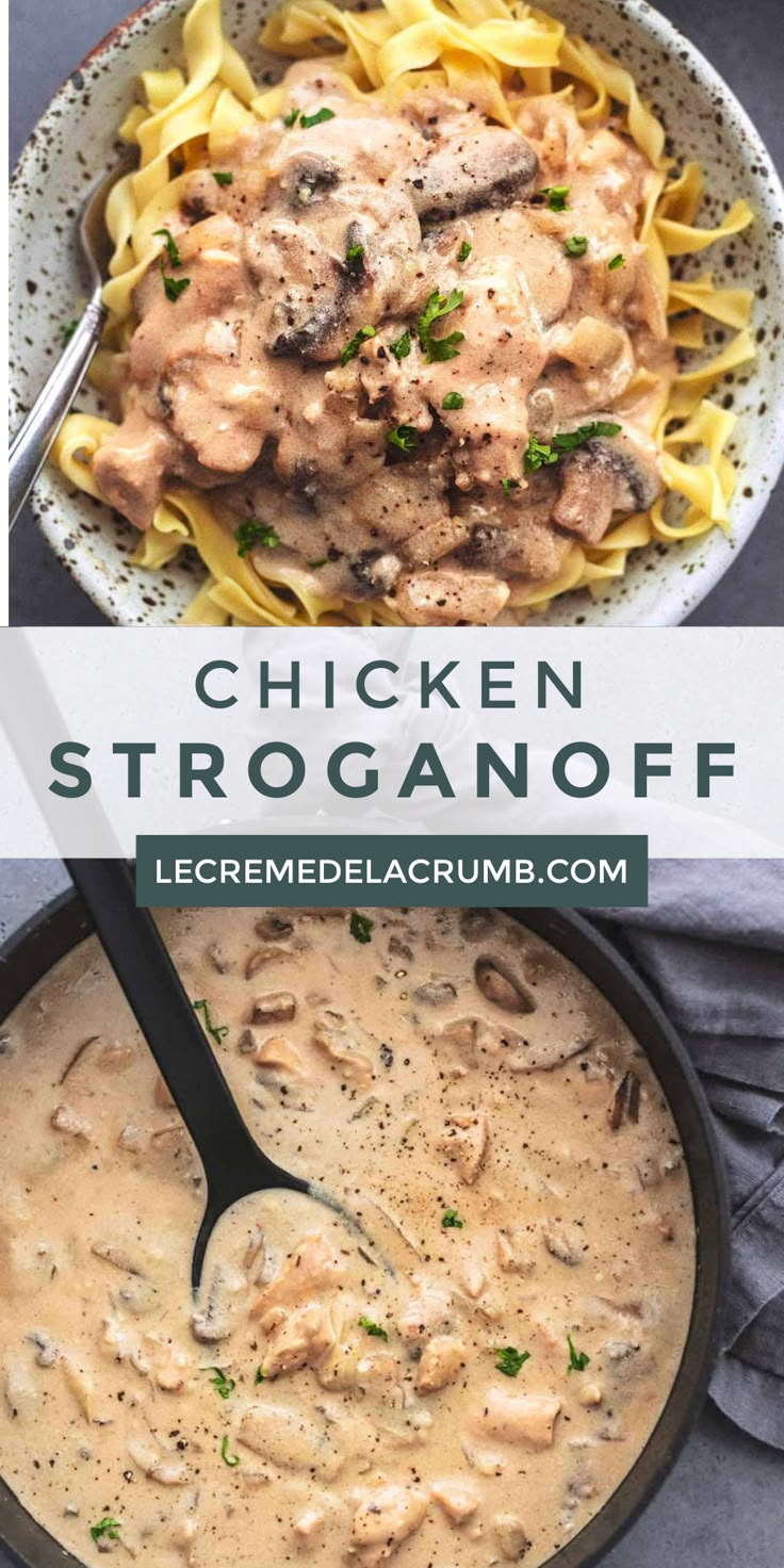 chicken stroganonoff in a white bowl with a black spoon on the side