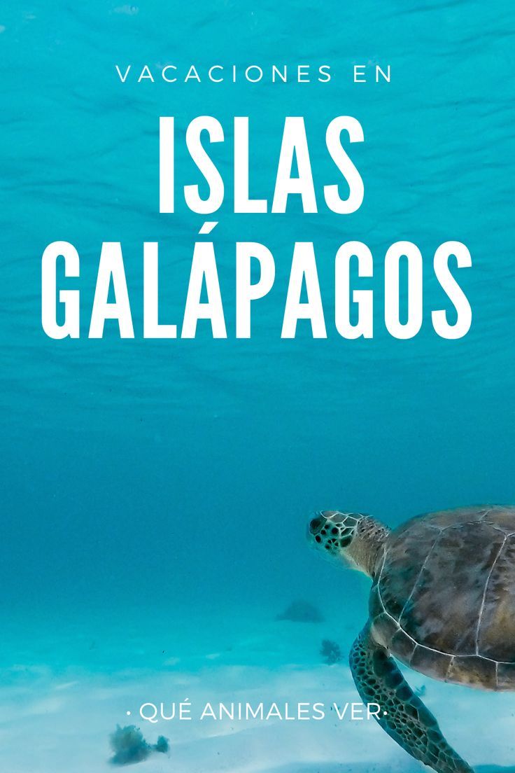 a turtle swimming in the ocean with caption that reads, las galapagos