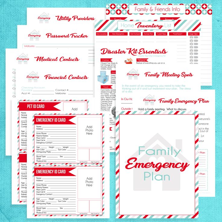 WHAT IS A FAMILY EMERGENCY BINDER? This is specifically to manage your family in case of an emergency. It's different than a home binder which would include all the things about running your home, the emergency binder is meant to be something handy you use day to day, but also in the event of an emergency (fire, flood, natural disaster) you can grab and go! This binder will have all of your vital information, documents and notes about your family. Simply add these easy to use printables to a 3 r What Is A Family, Family Emergency Kit, Family Emergency Binder, Emergency Binder, Emergency Prepardness, Page Dividers, Divider Tabs, Home Binder, Emergency Preparedness Kit