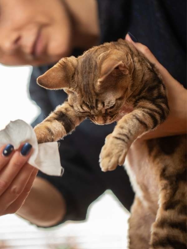 a woman is holding a cat in her hand and it's paw on the tissue