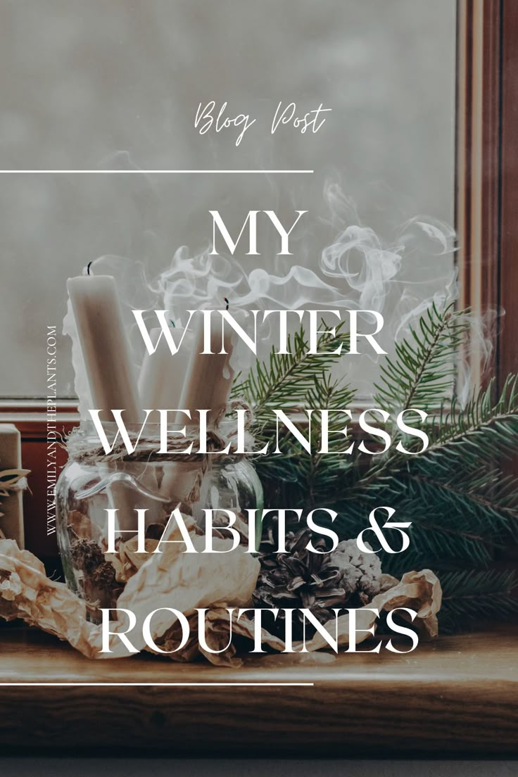 the words, my winter wellness habit and routine are displayed in front of a window