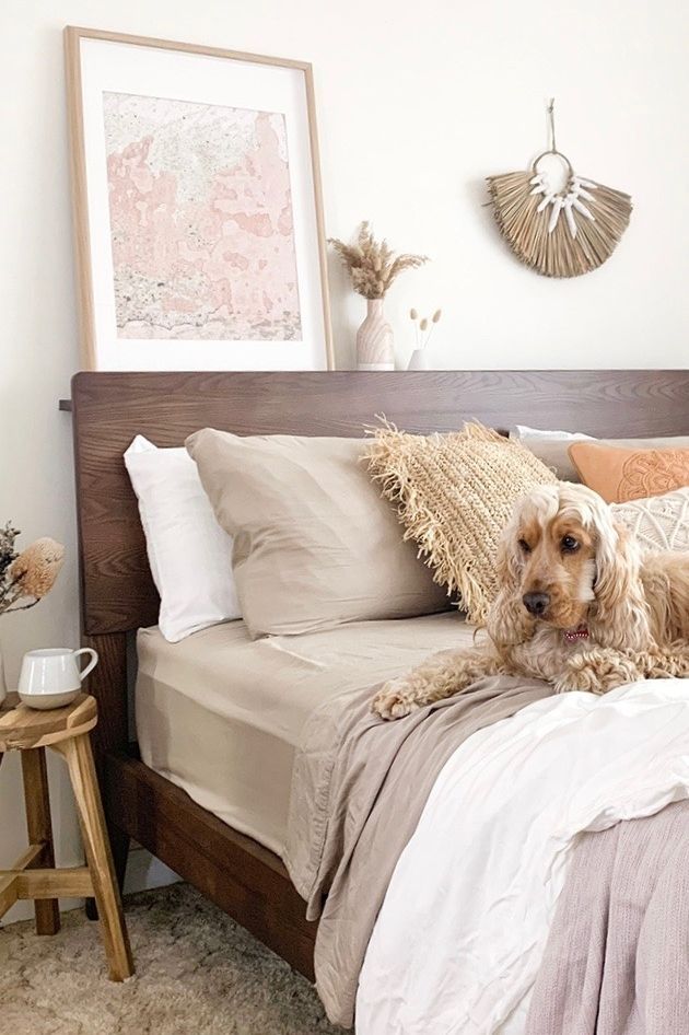 a dog laying on top of a bed in a bedroom