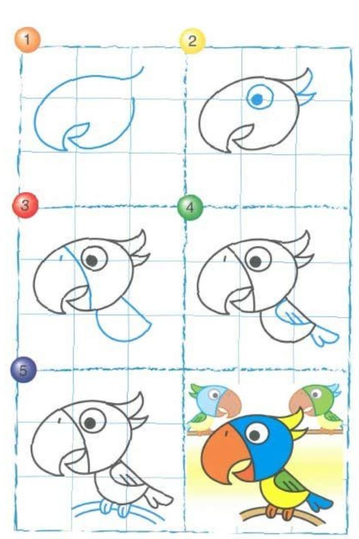 Learn to draw a selection of birds with our fun drawing tutorials which ...