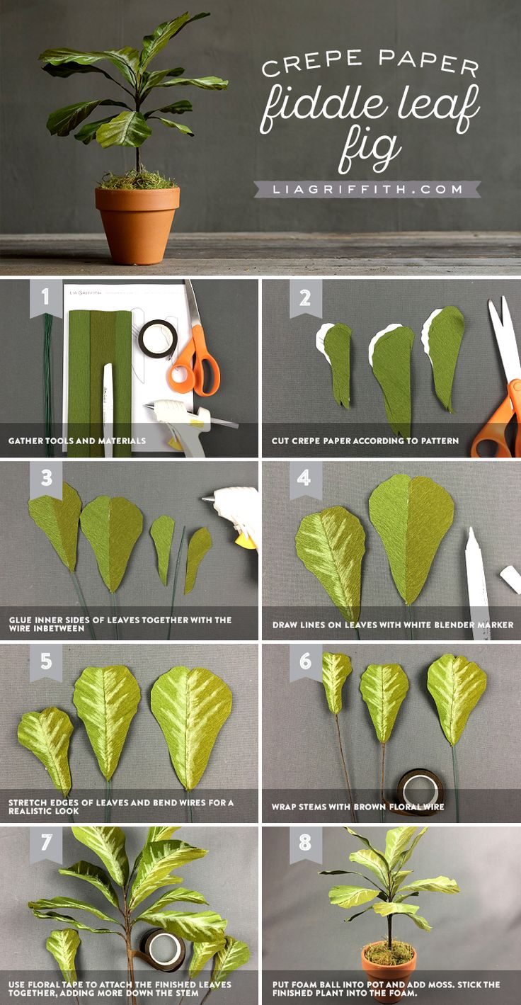 the instructions for making crepe paper fiddle leaf figs are shown in several different ways