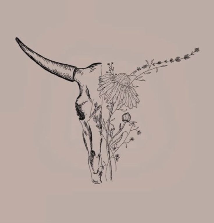 a drawing of a cow's skull and flowers