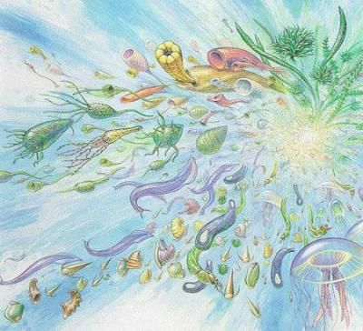 an artistic drawing of many different things in the air and water, including plants and fish