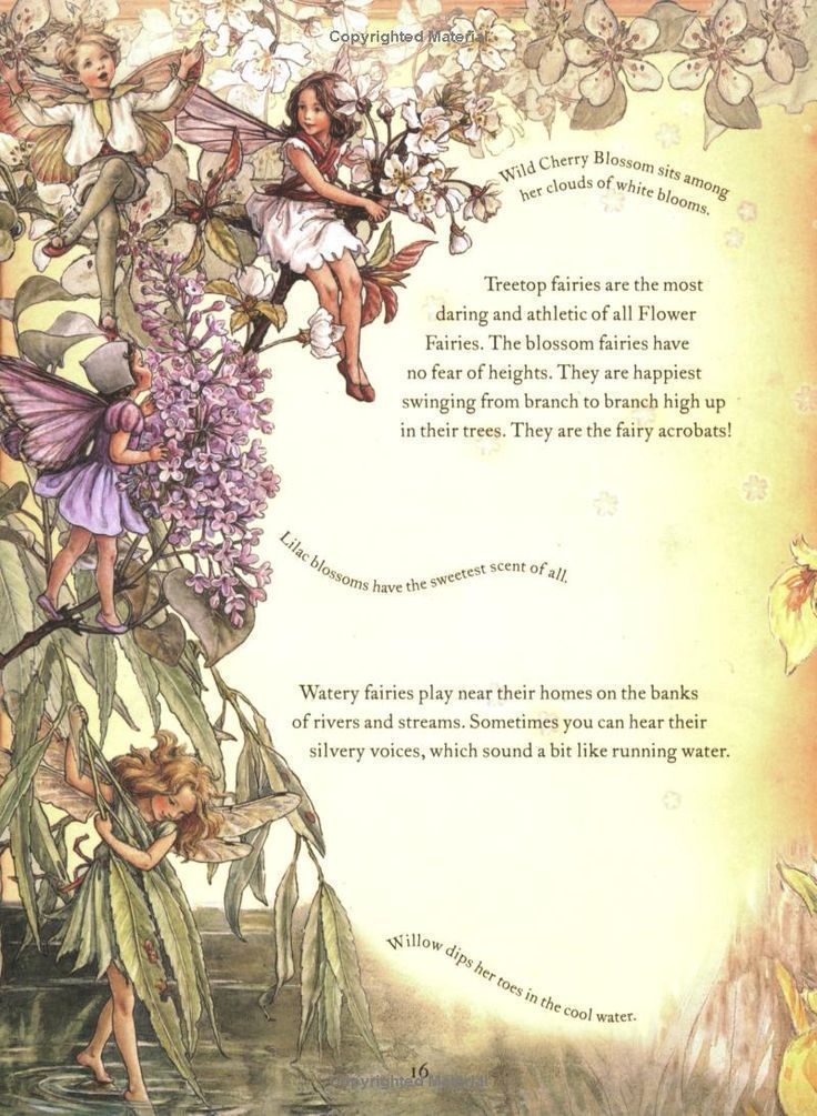 an image of a fairy tree with flowers and other things on it's back