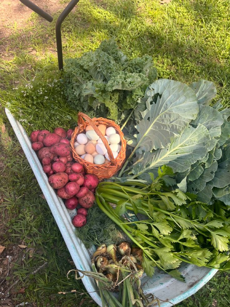 a wheelbarrow filled with lots of fresh vegetables on top of green grass and dirt