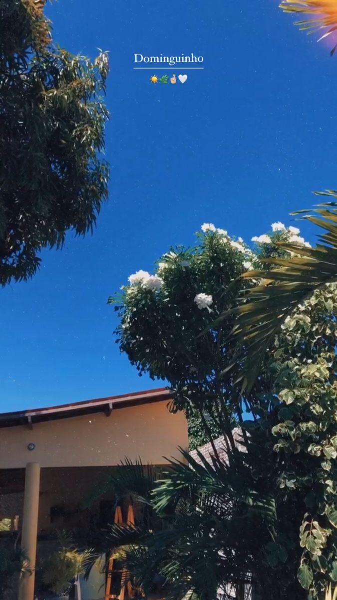 the house is surrounded by many trees and flowers, with blue skies in the background