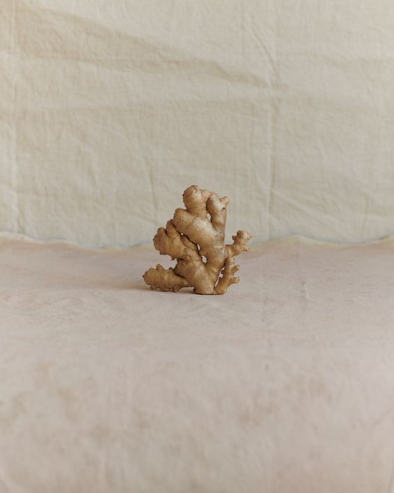 there is a small pile of ginger on the bed with it's roots sticking out