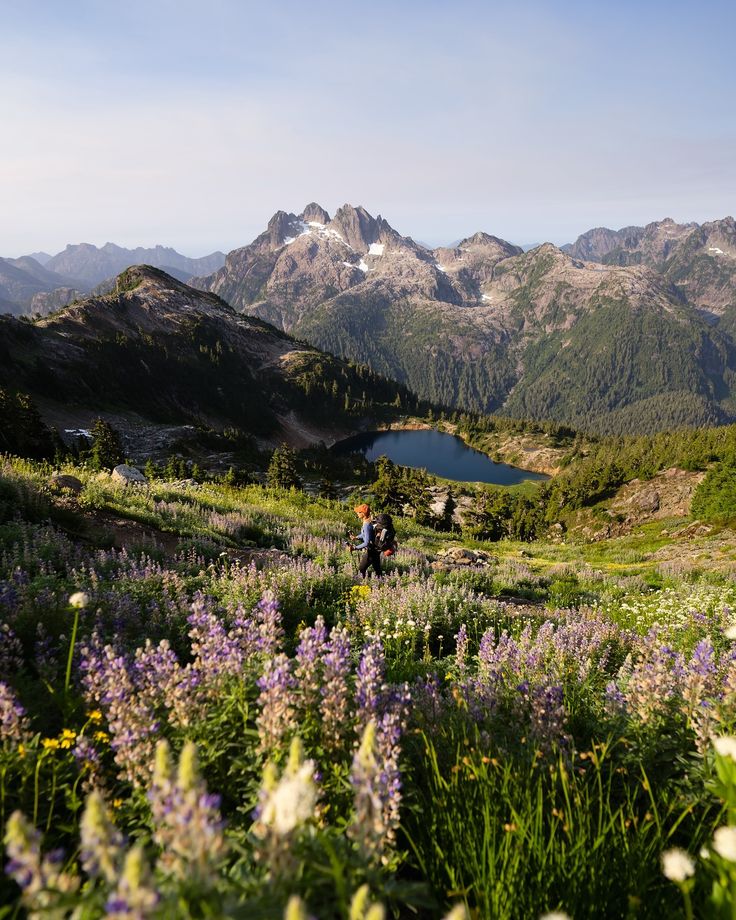 a person riding a bike on a trail in the mountains with wildflowers and other flowers